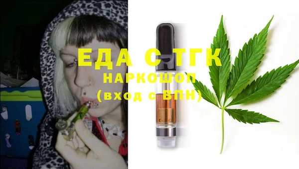стаф Магас