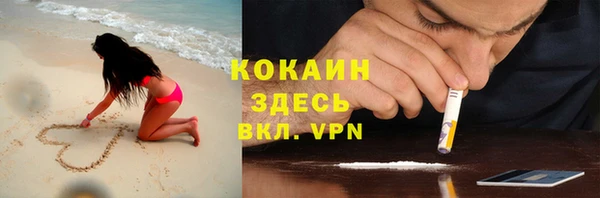 стаф Магас
