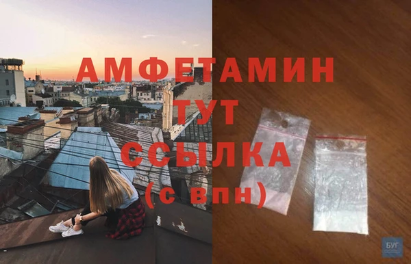 стаф Магас