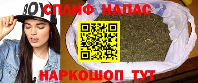 спиды Бийск