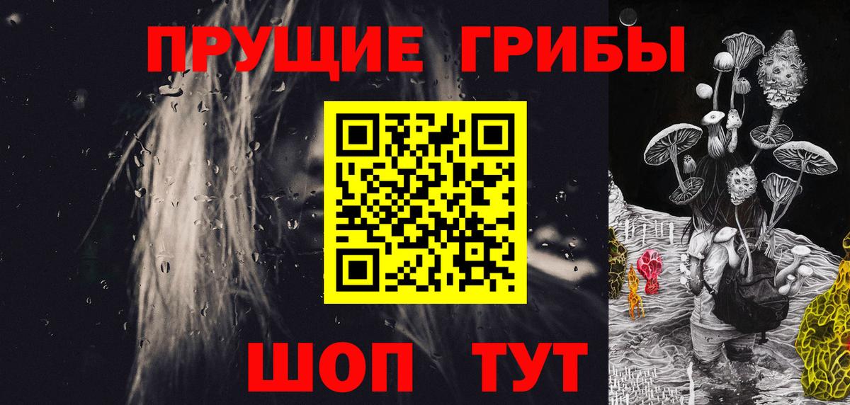 Галлюциногенные грибы Psilocybine cubensis  Дзержинск 