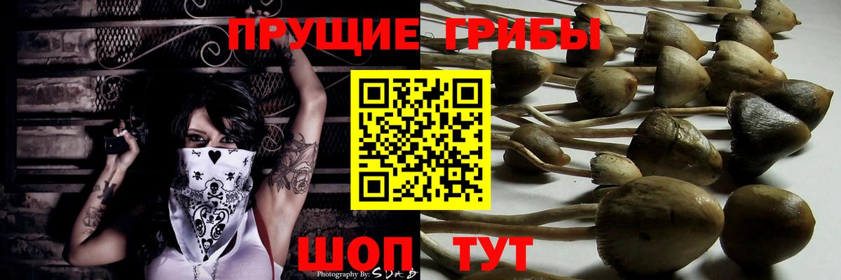 Галлюциногенные грибы Magic Shrooms Дзержинск